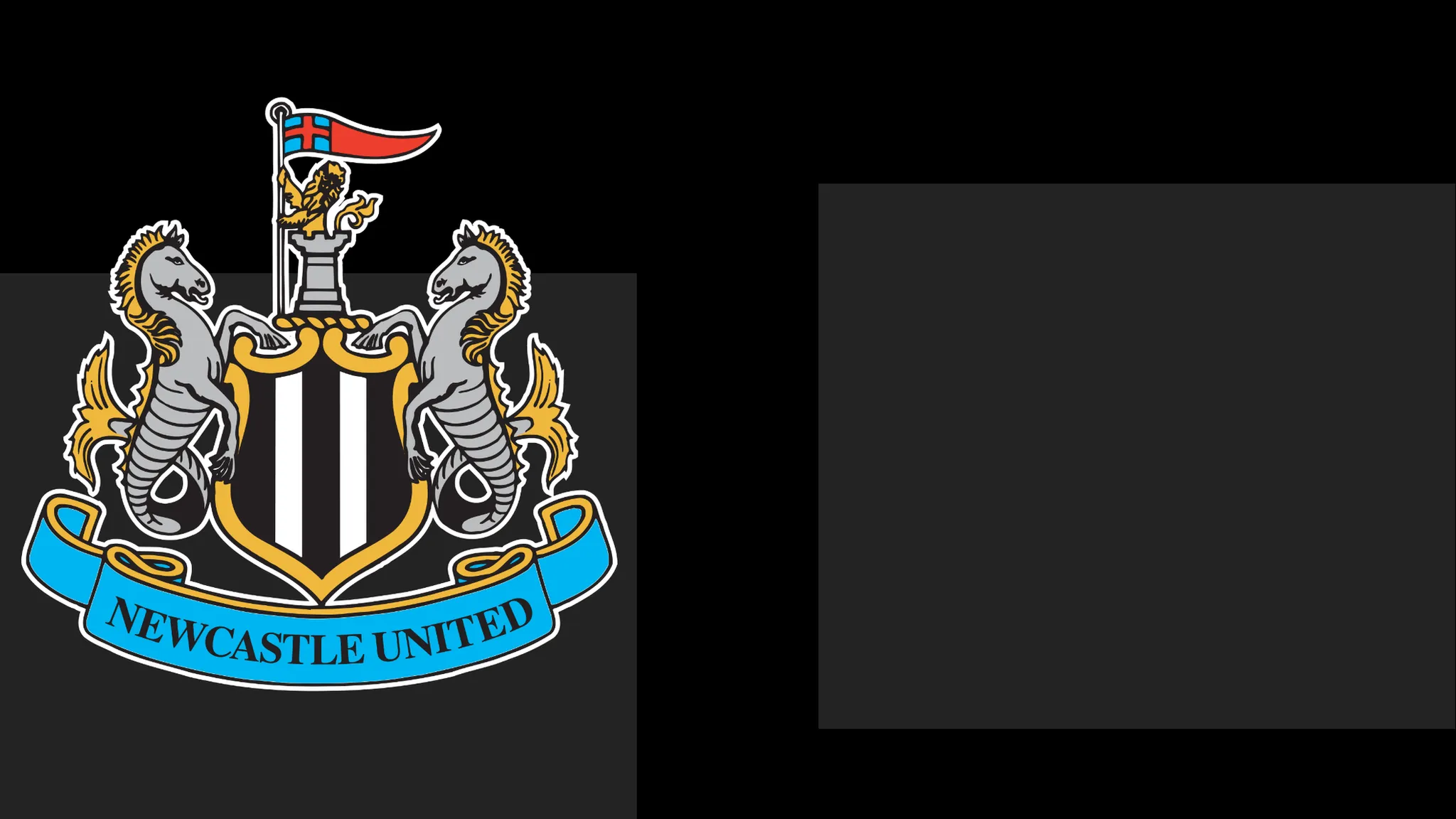Newcastle Extend Formal Apology to Supporters Following Matchday Dispute